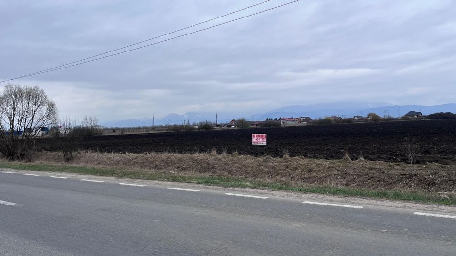 Teren 50000mp Extravilan-Intrare Halchiu-Cod 5235 - Poză 2
