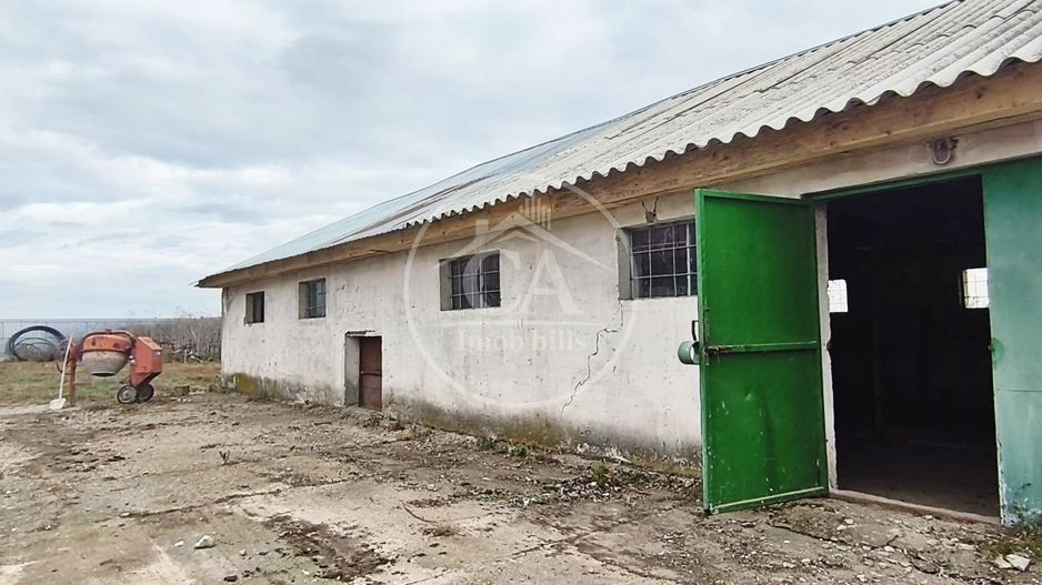 Hala de inchiriat in zona Tarian, Bihor - Poză 1