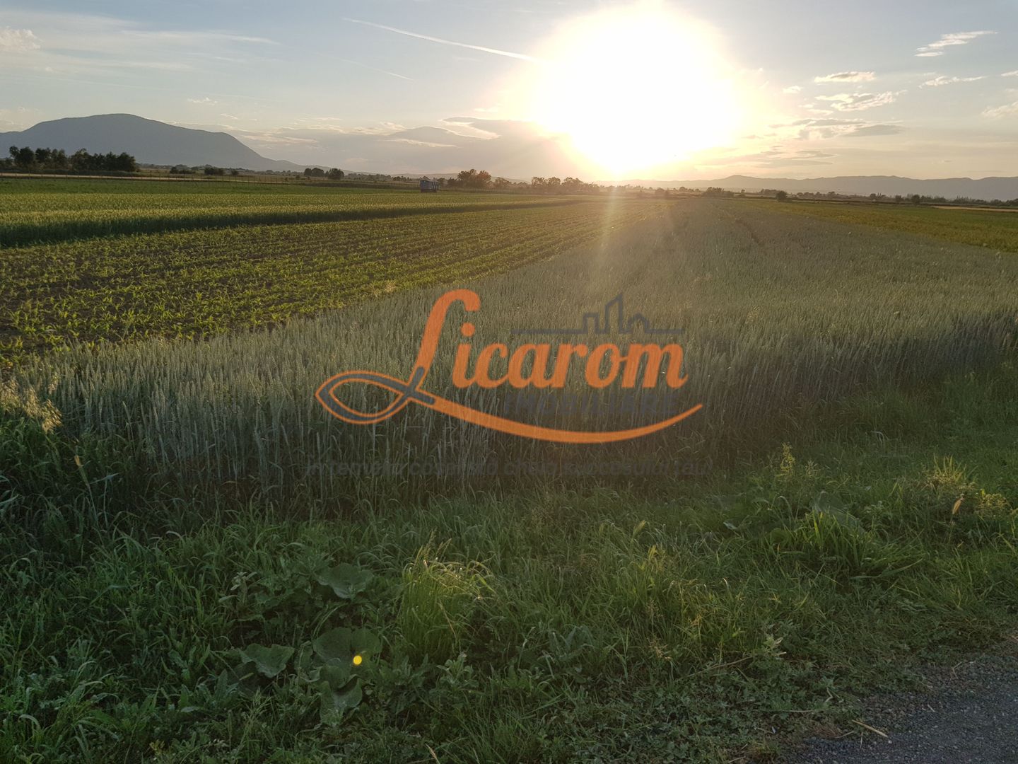 Teren intravilan Stupini front la Calea Feldioarei, DN 13 - Poză 4