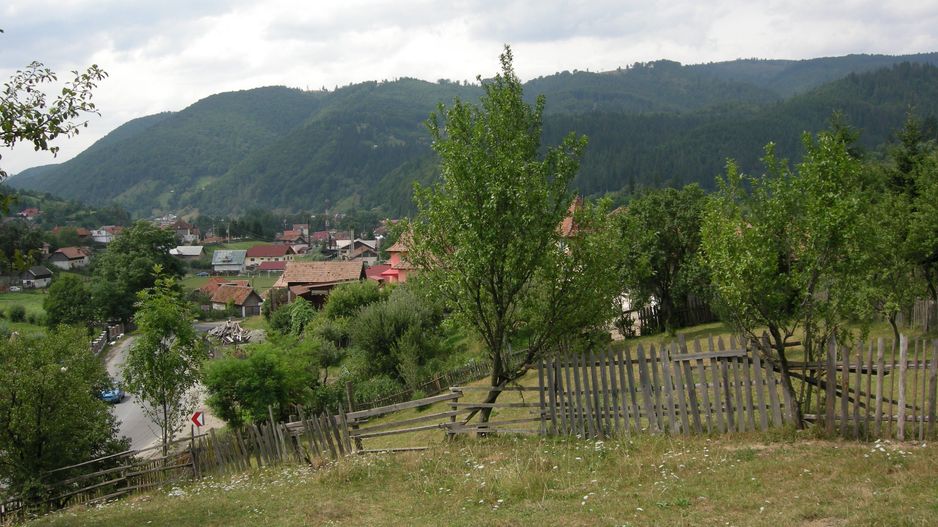 Teren intravilan 3214 mp în Rucăr cu deschidere 56 m în DN73 - Poză 2