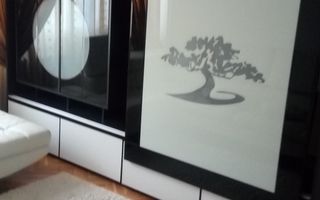 Apartament 4 camere Drumul Taberei - Poză 9