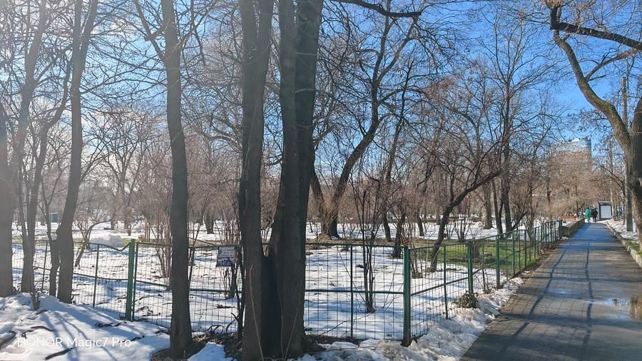 Apartament 2 camere Parcul Circului, parter, vedere spre parc - Poză 7