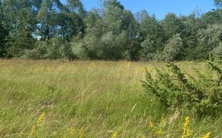 Teren in zona turistica Porumbacu de Sus - Poză 1