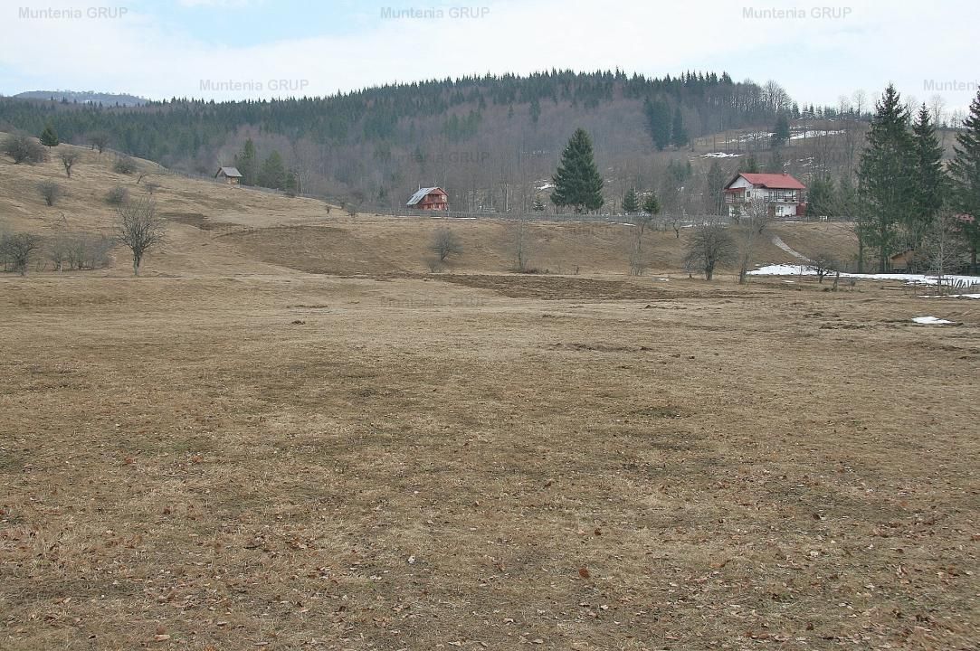 VALEA DOFTANEI - Traisteni, langa Conacul Dascalu, vanzare 2.537 mp. teren - Poză 9