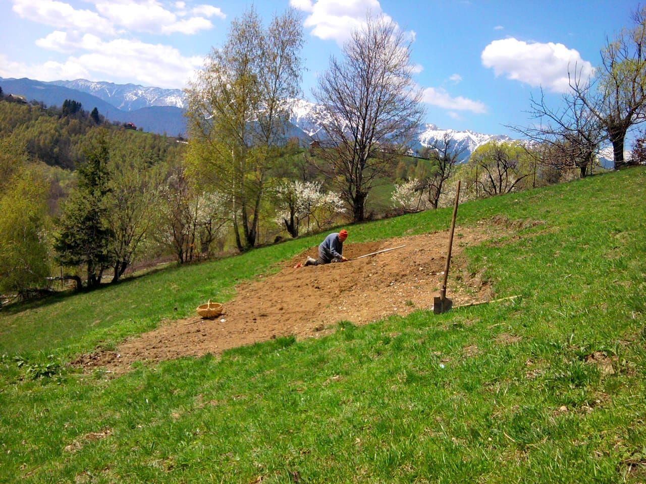 teren intravilan in zona Magura Bran - Poză 25