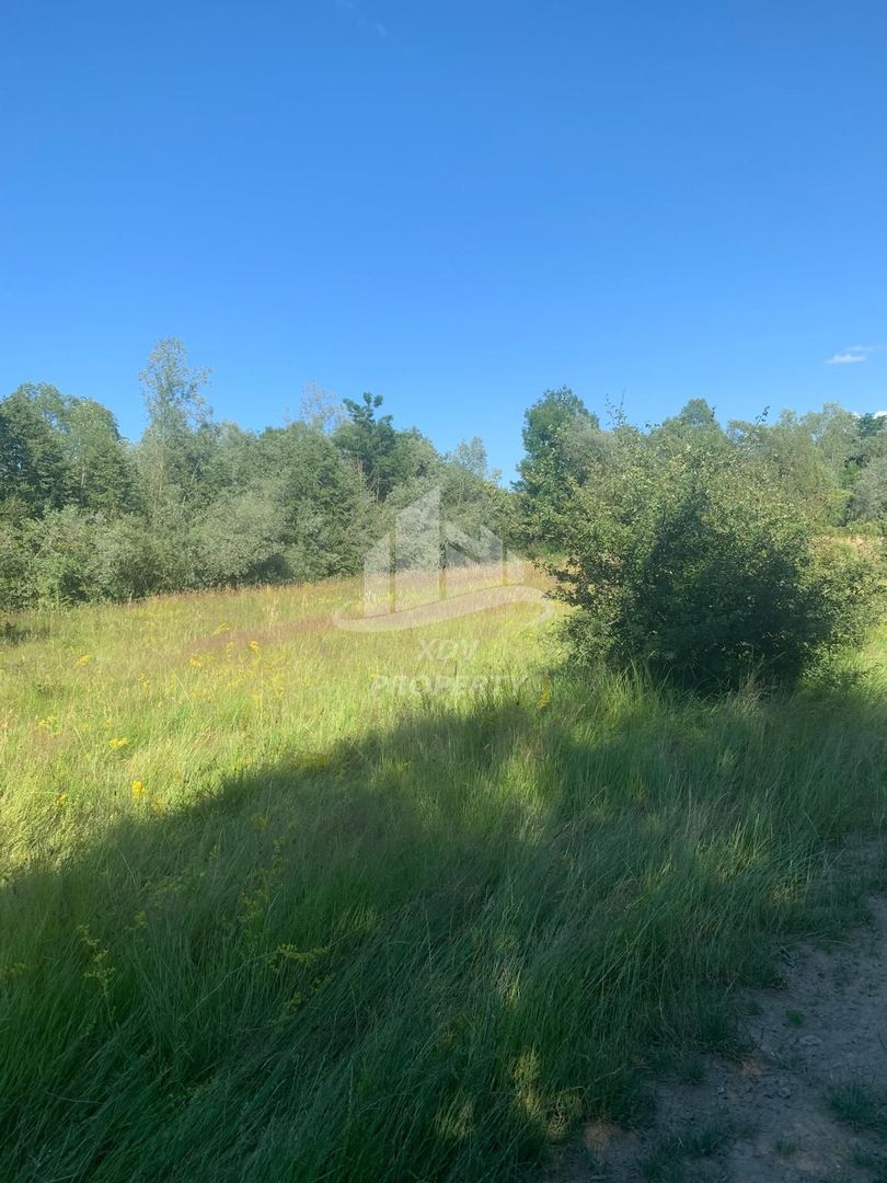 Teren in zona turistica Porumbacu de Sus - Poză 4