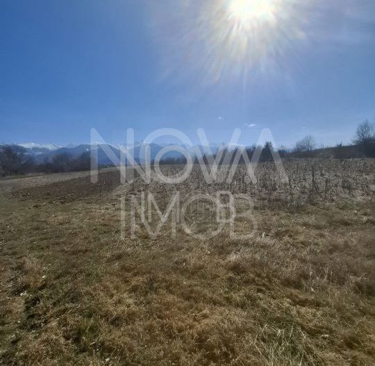 Teren extravilan de vanzare - Arpasul de Sus - Poză 2