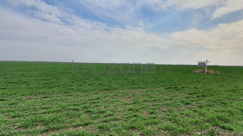 TEREN CU AUTORIZATIE DE CONSTRUIRE, 10.000 MP - 18 VILE, FRONT 90 ML - Poză 15