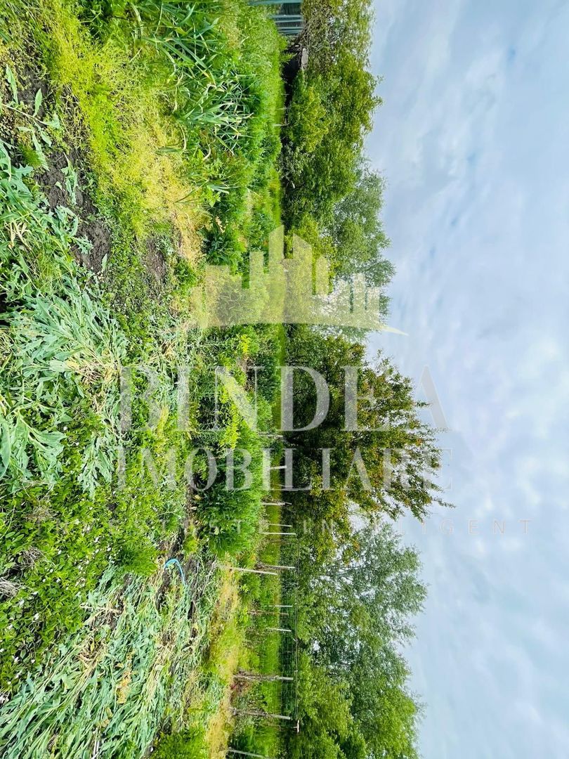 Casa individuala Covaci- 1000mp teren - Poză 3