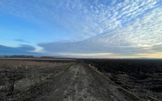 TEREN EXTRAVILAN | 82 ARI | PERIFERIA ORASULUI - Poză 7