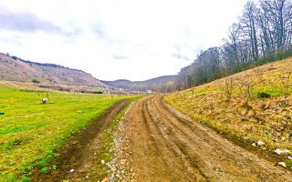 2071 mp TEREN FLORESTI–TAUTI, jud. CLUJ, 1,3 km de viitorul METROU - Poză 7