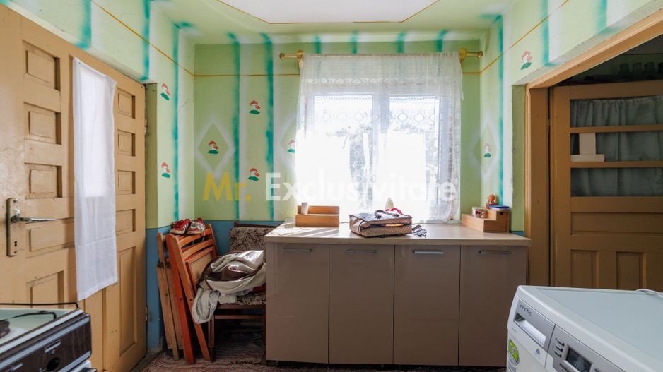 CASA SI GOSPODARIE DE VANZARE – SPINENI, OLT | 4.000 MP TEREN - Poză 8