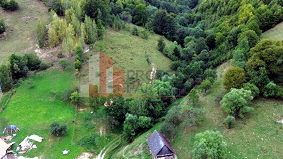 Teren de investiție în Moieciu, lângă Castelul Bran – 11.381 mp, vedere Bucegi - Poză 19