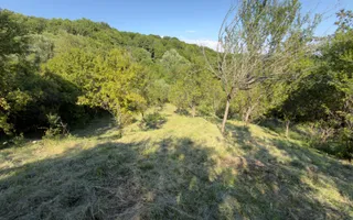 TEREN 3200 MP GODENI ARGEȘ - Poză 15