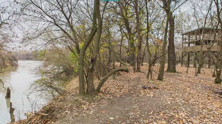 Teren spectaculos la  Periam Port - Poză 9