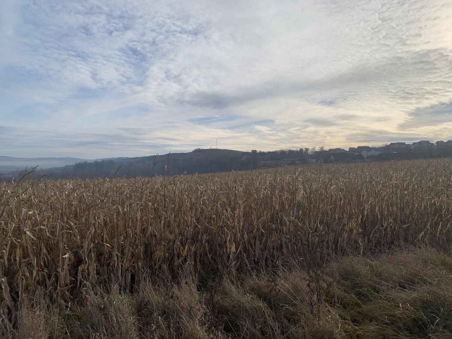 Teren intravilan de vânzare | Cajvana | 7.800 mp - Poză 2