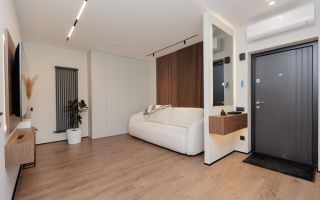 Vânzare, apartament, 2 camere, str. Vasile Lupu, Buiucani - Poză 12
