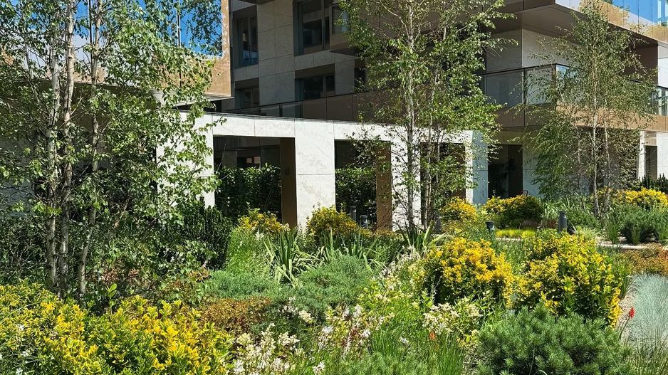 Cortina 126 - Poză 12