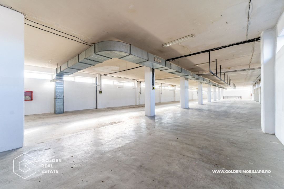 Hala pentu productie In zona Micalaca - Poză 5