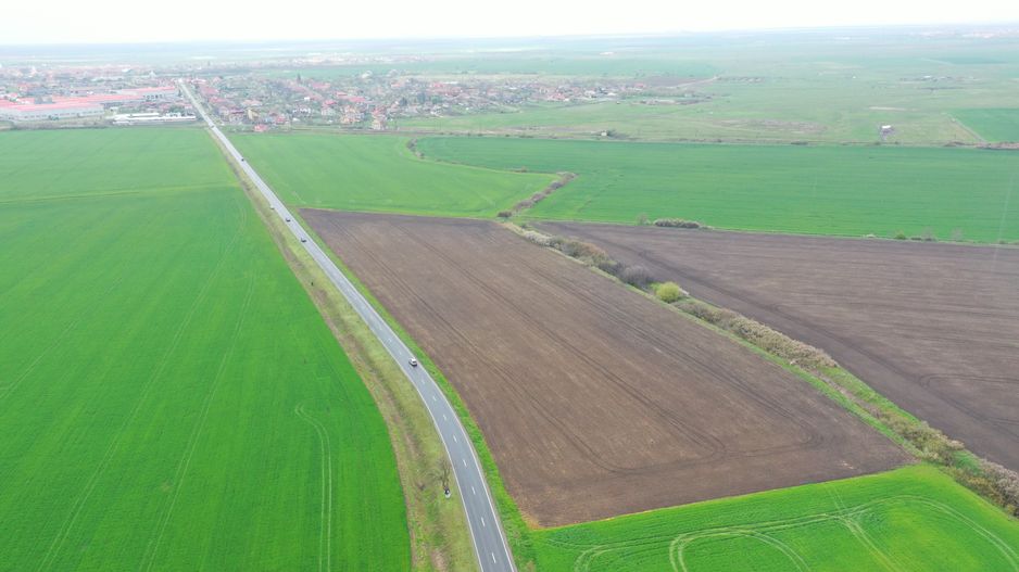 Teren industrial Dudestii Noi - Poză 3