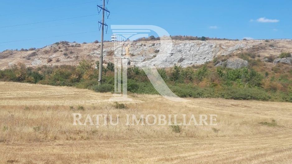 Teren extravilan | Betfia | 7935 Mp | Bihor - Poză 4