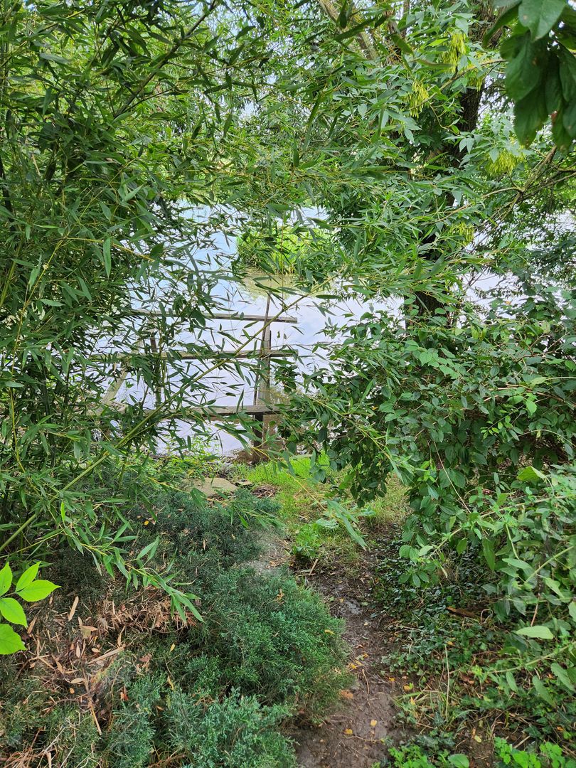 Casa P+M cu teren generos-Remetea - Poză 12