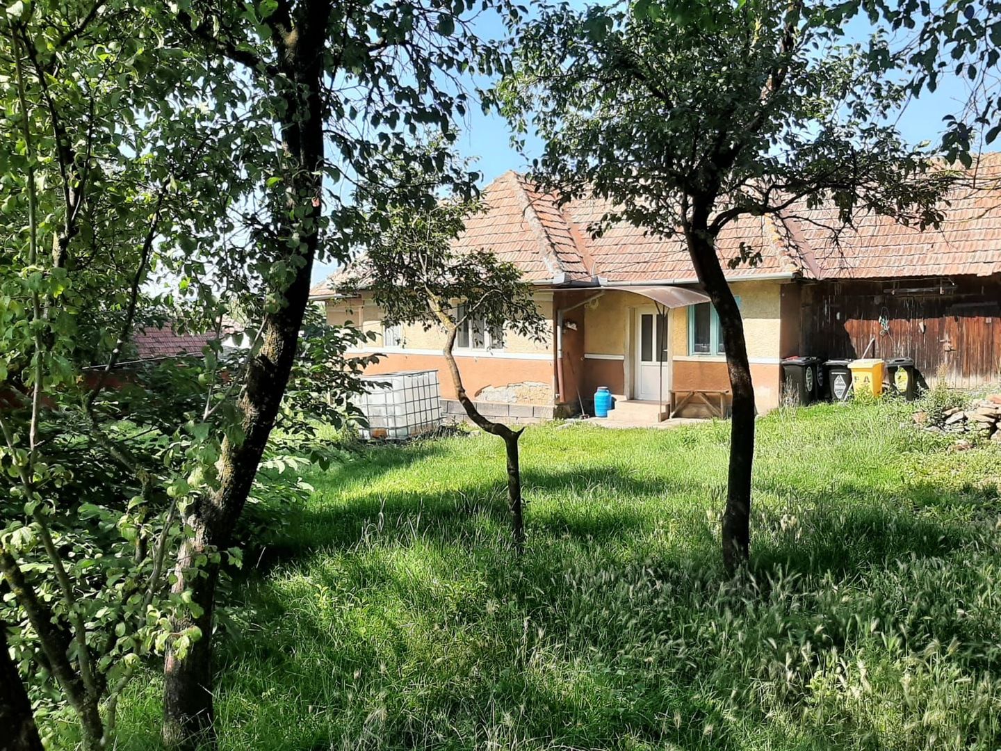 Teren cu utilitati si veche in Rediu - Poză 3