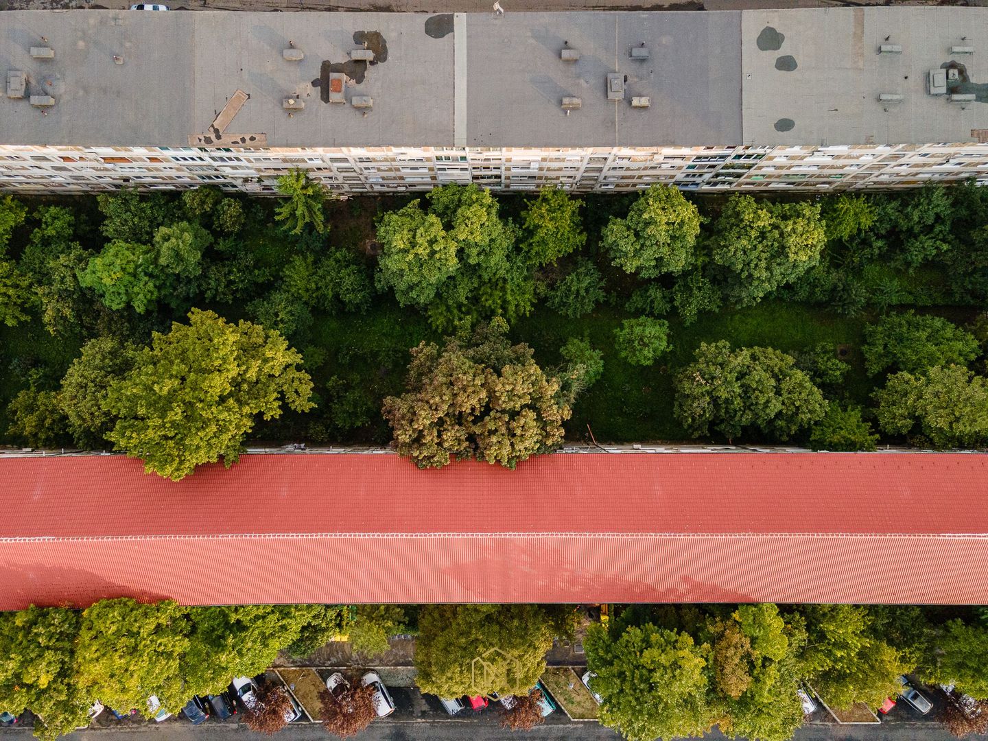 Apartament 2 camere "Cetatii-Bioclinica" | 41 mp | Renovat 2019 - Poză 2