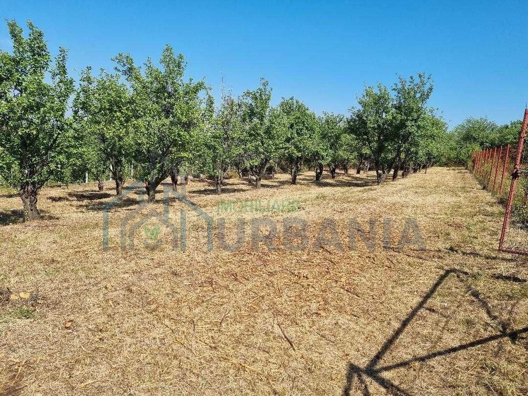 1600 mp teren in Barnova sat Pietrarie pe deal deasupra Primariei. - Poză 2