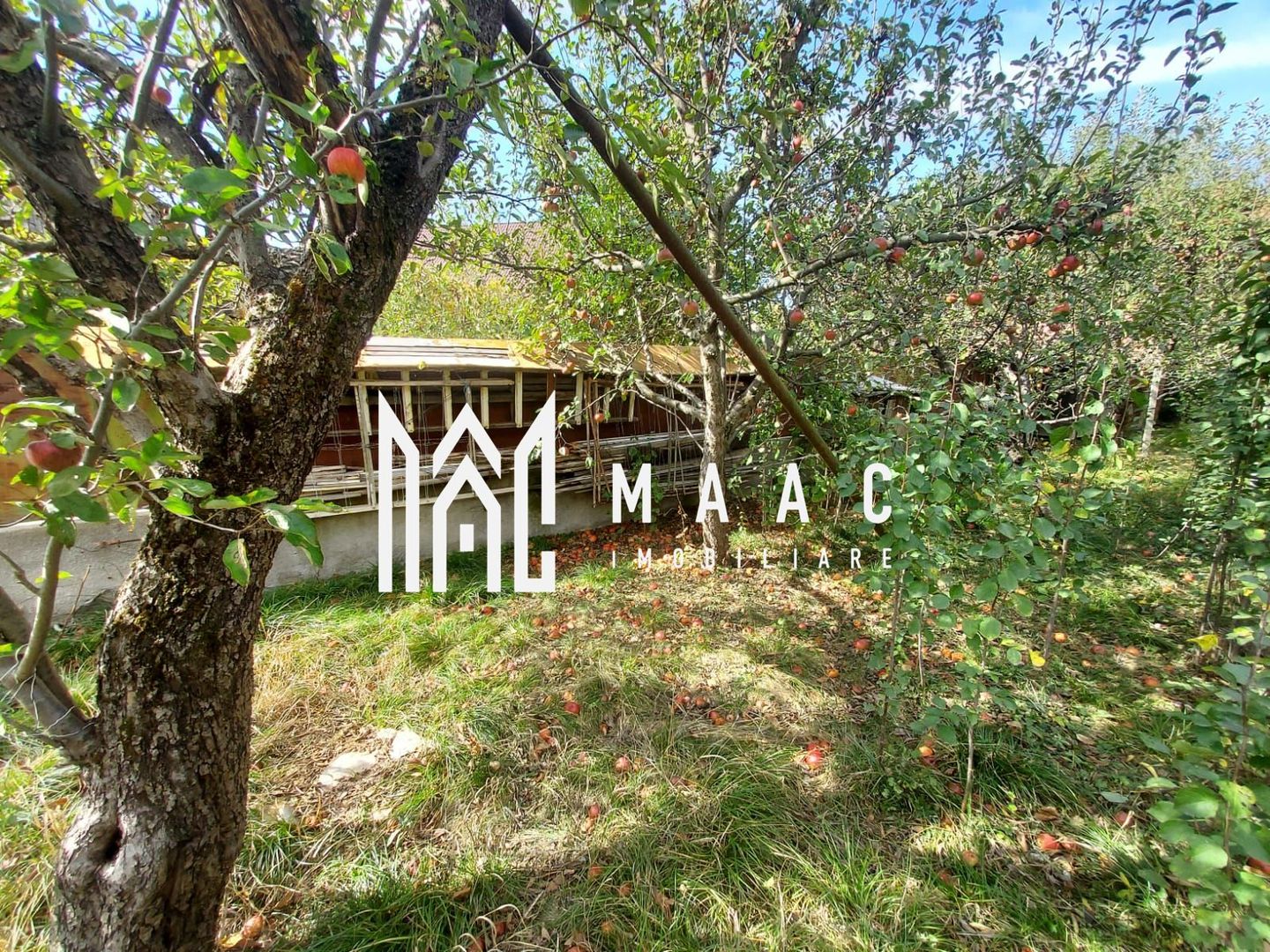 Casa 3 Camere | 67 MPU | 507 Teren | Calea Poplacii - Poză 18