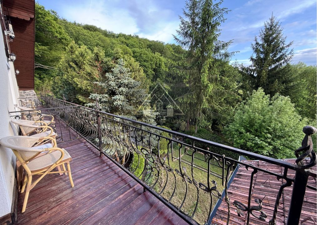 Afacere la cheie, Han, Pensiune, Restaurant - Poză 32