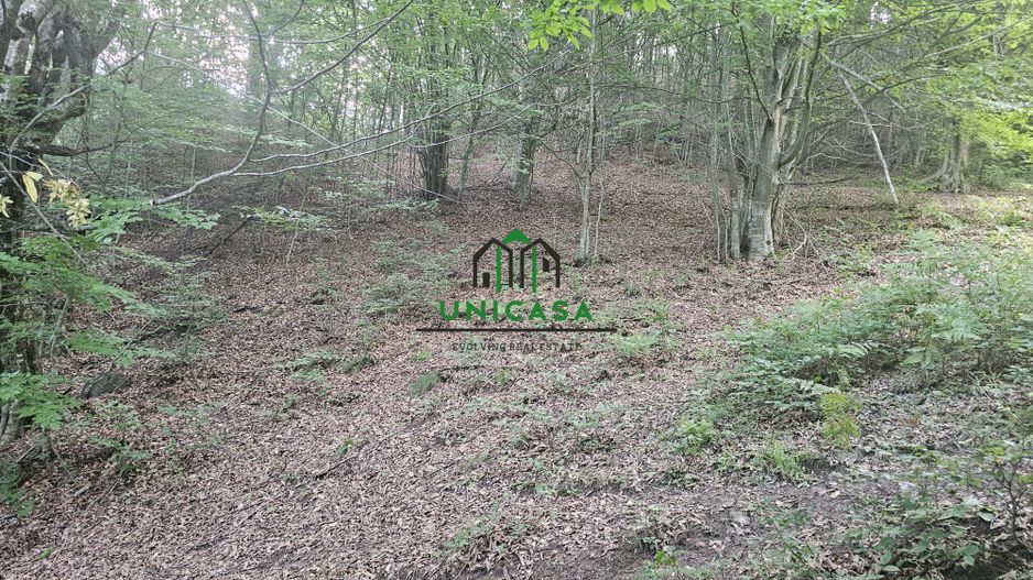 Teren extravilan  cu potential turistic - Brezoi - Poză 4