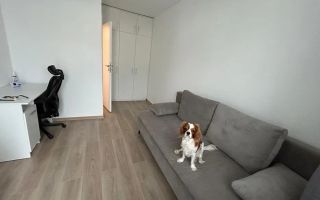 Duplex modern și elegant cu carport în Cartierul Arhitecților - Poză 8