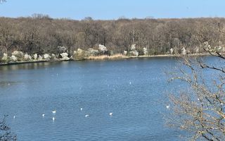 Duplex 4 camere _LUX_Modern***Lake view//Chitila - Poză 20