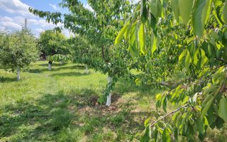 Casa Ciocanesti Cretu - 2 camere cu teren 2539 mp  - Jud. Dambovita - Poză 42