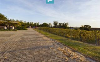 Pivnițele Birăuaș D.O.C Miniș - RATE FĂRĂ DOBÂNDĂ - Poză 31