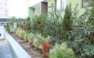 3 CAMERE LA PARTER CU CURTE PROPRIE DE 57MP,  2 BAI, POZITIE PE SUD, COMISION 0% - Poză 41