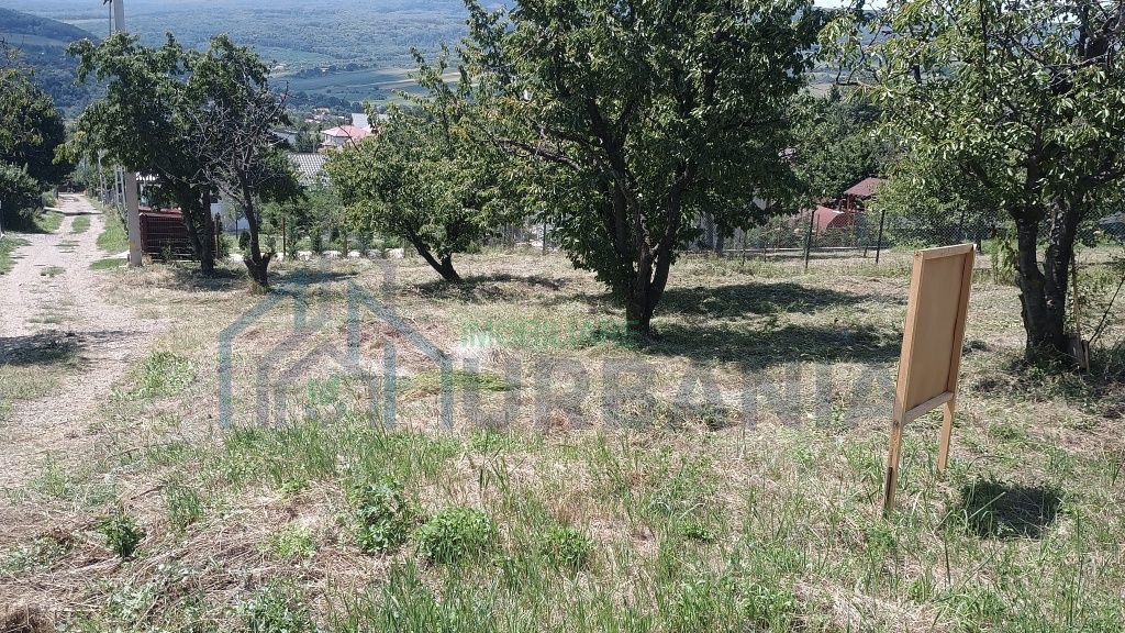 Teren Intravilan Construibil, 3000 mp, Chicerea, Utilități - Poză 1