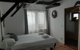 Pensiune I 6 Camere I 240 MPU I 420 Teren I Paltinis - Poză 7