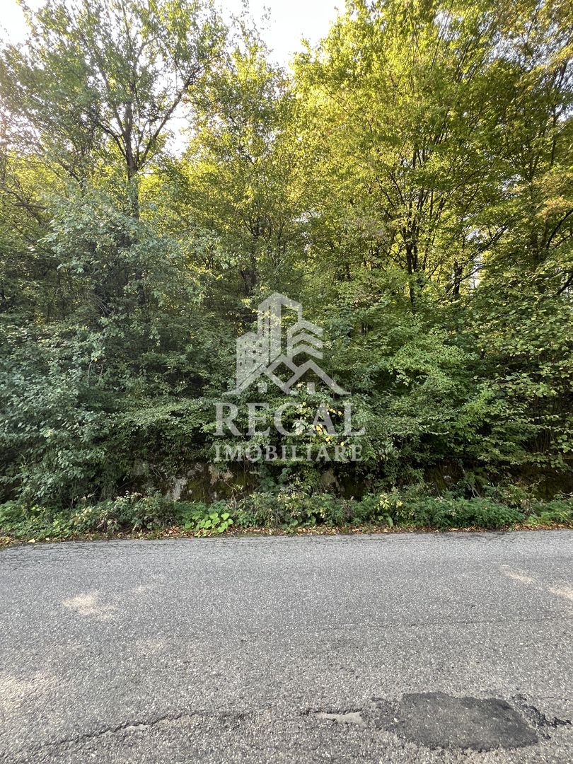 Teren extravilan de vânzare – Lacul Cinciș - Poză 5