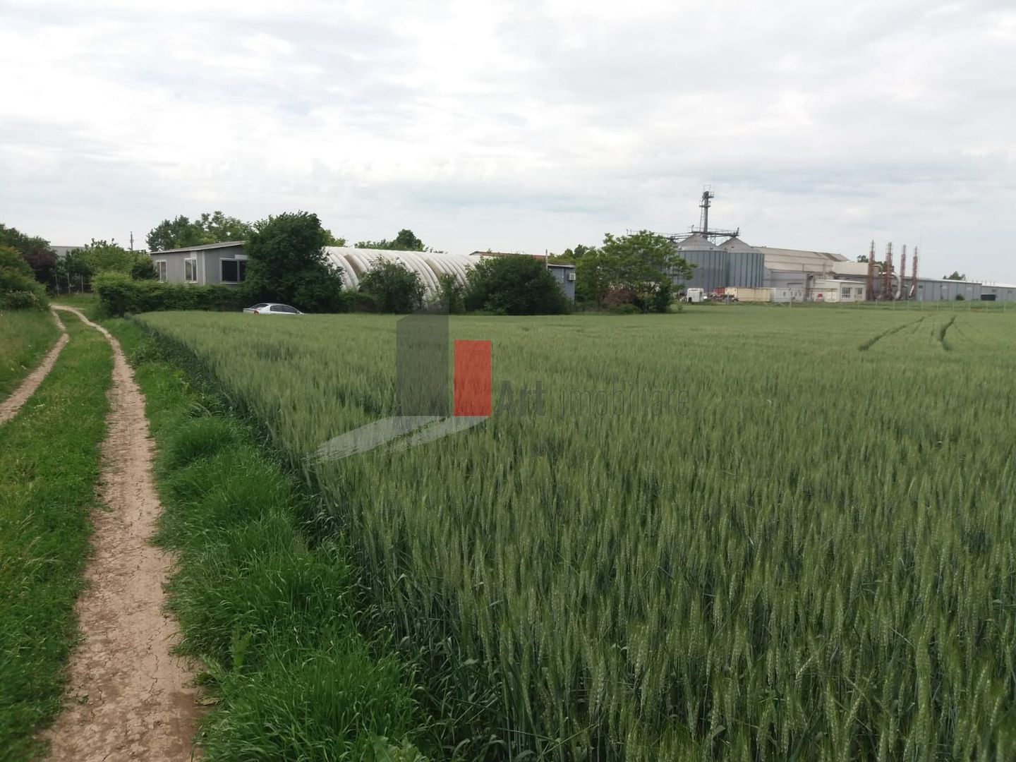 Teren Buftea cu iesire la lac - Poză 4