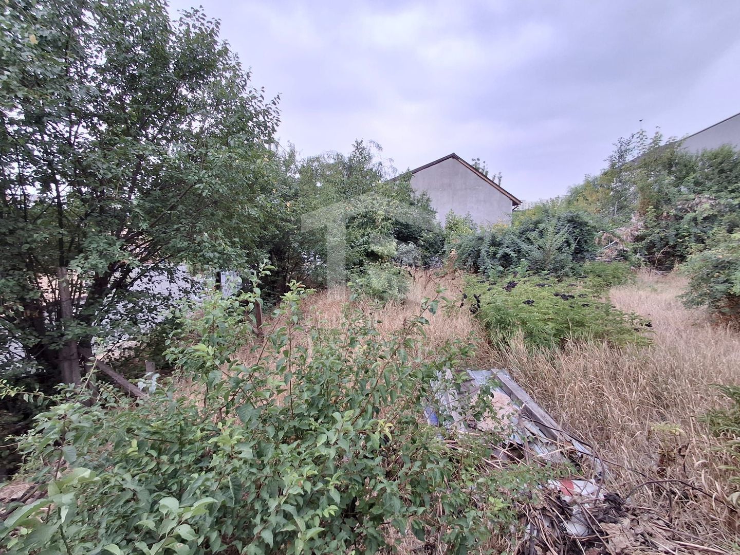 Teren de vanzare - zona Maior Colentina - Poză 13