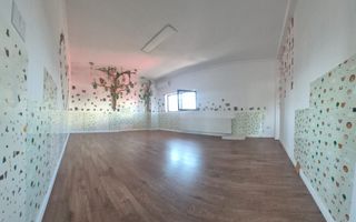 Spatiu Comercial I Tunari I 463 utili I curte 400 mp I parcare - Poză 17