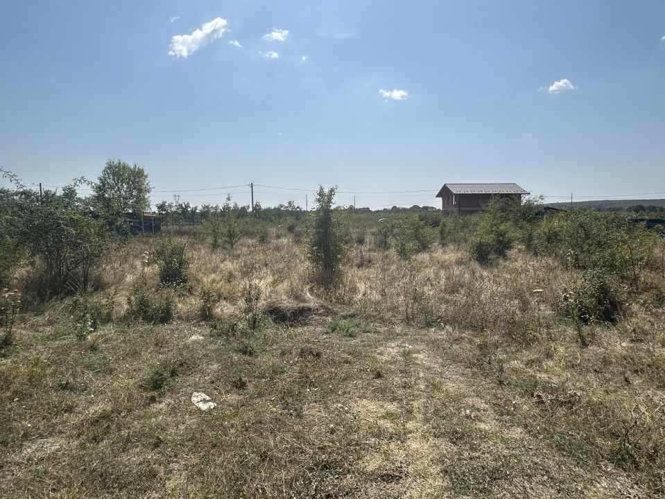 Teren Intravilan Magic Trivale - Aleea Bradului  1040 mp - Poză 1