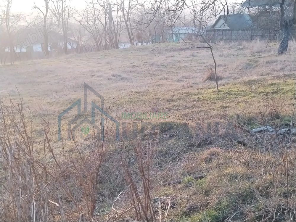 Vanzare teren - zona Ciurea, spre Piciorul Lupului. - Poză 4