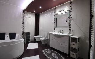 Sat Giroc, ideal pentru diverse afaceri sau pentru locuit. - Poză 23