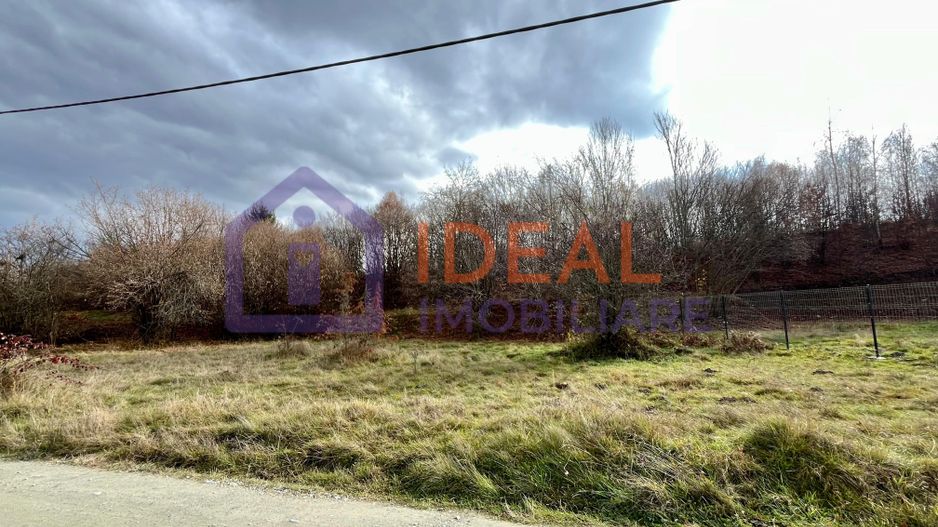 Teren extravilan 1030 mp, Cârțișoara - Poză 2