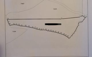 Teren 7000mp Arieseni - Poză 4