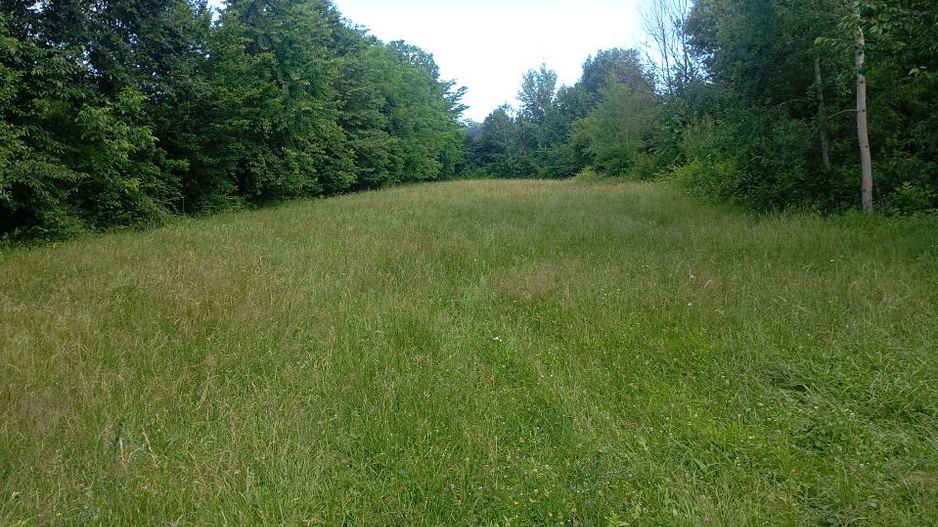 teren 1773 mp | Prahova | Banesti | Urleta | Campina - Poză 2