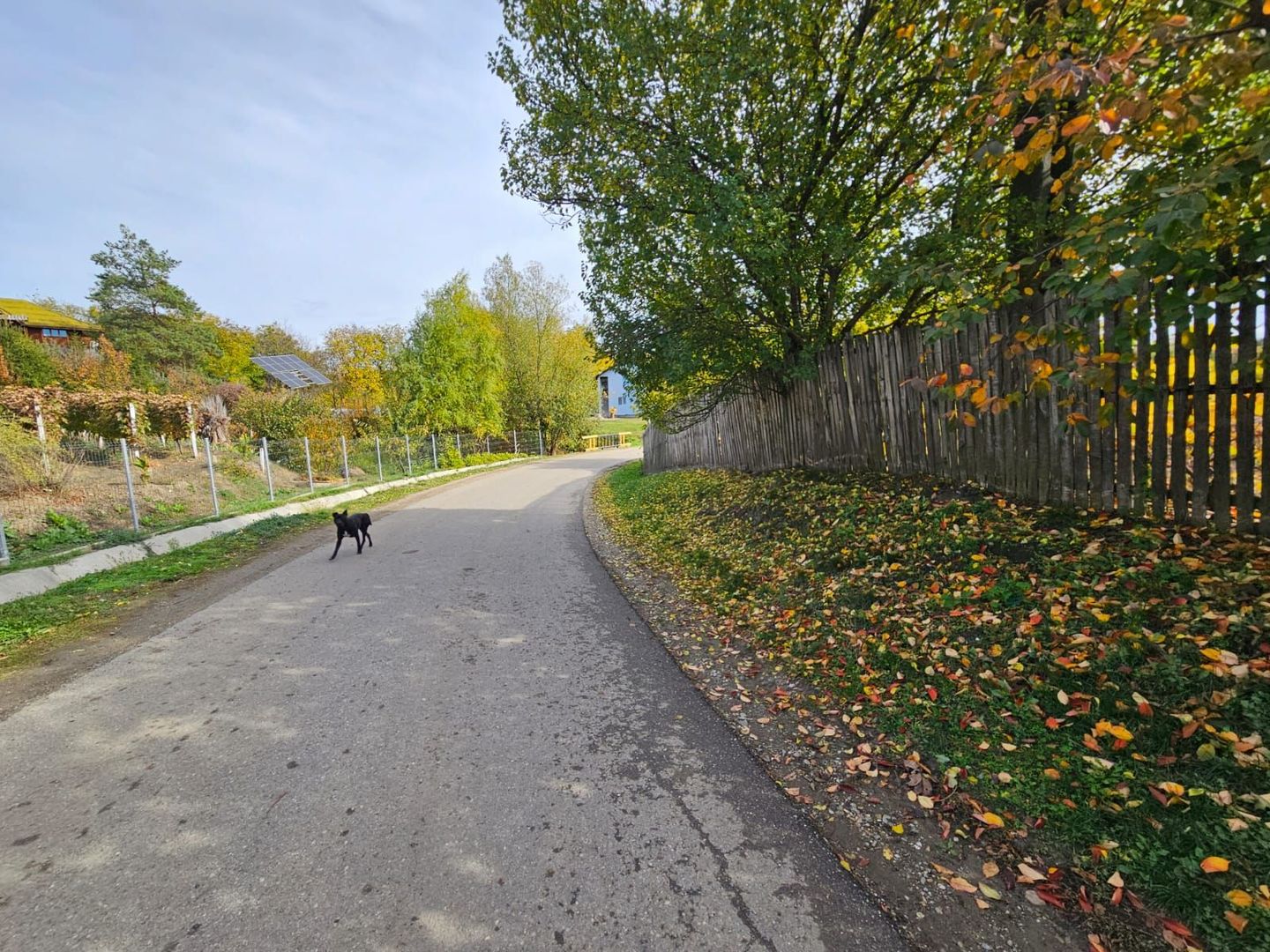 Teren intravilan 690 mp, utilități, lângă Spital Călinești - Poză 3